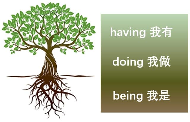 文章内容