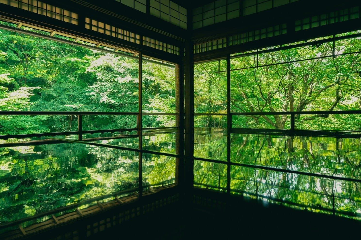 文章内容