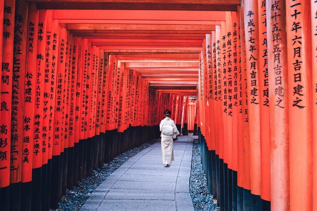 Japan Observation: The Radiance and Shadows of Women